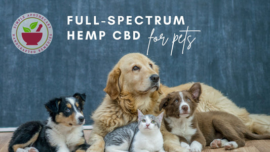 Hemp CBD for Pets