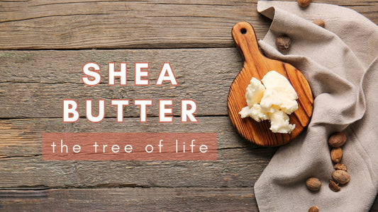 Ingredient Spotlight: Shea Butter