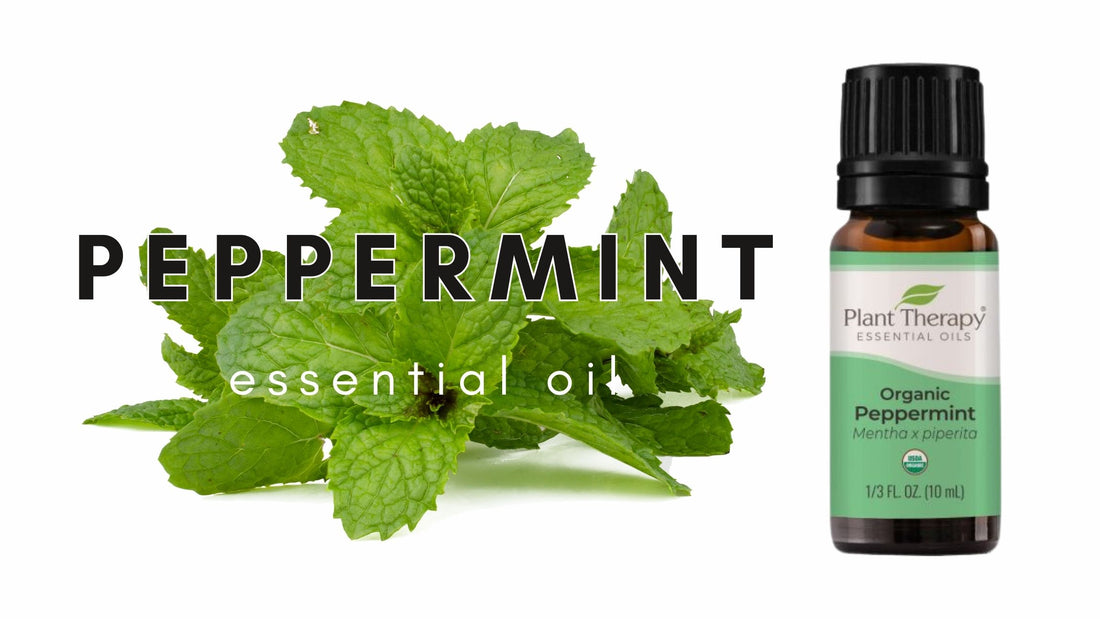 Ways to Use Peppermint Essential Oil